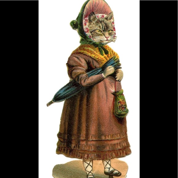 Absolutely - Picture 2 of 2